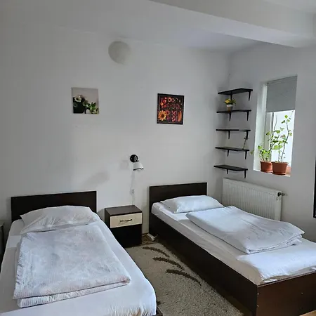 Casa Ana Apartment Cluj-Napoca Room photo