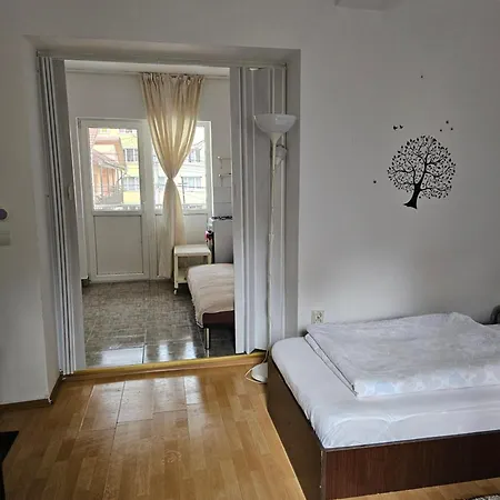 Casa Ana Apartment Cluj-Napoca Room photo