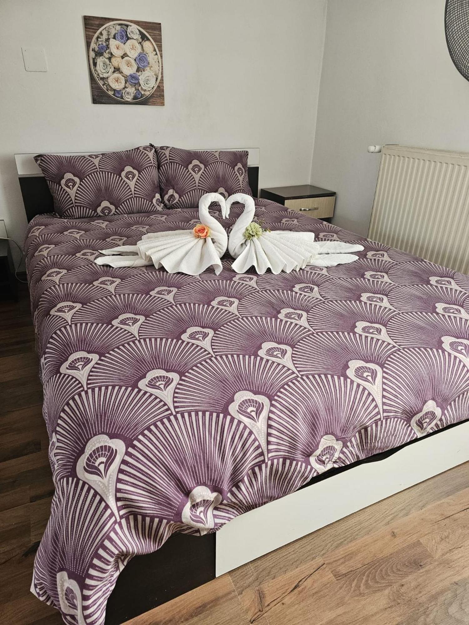 Casa Ana Appartamento Cluj-Napoca